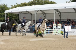 Team Show Jumping Championship