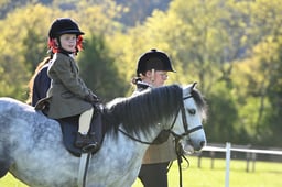 115 Assisted Leading Rein