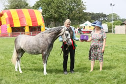 E34_2095 2026