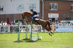 Open Show Jumping