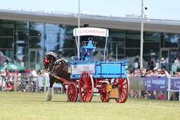 H47_1854 2026