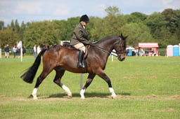 W36_2171 2026