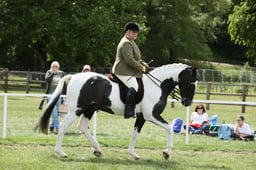 147 Senior Plus Ridden