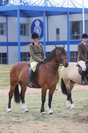 E66_3506 2026