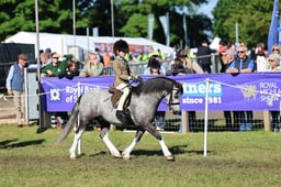 559 HOYS M&M First Ridden