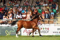 E69_0844 2026