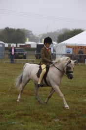 35 HOYS M&M Ridden Small Breeds