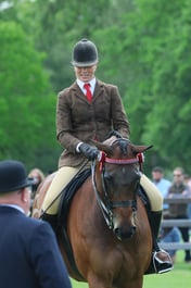 S30_3601 2026