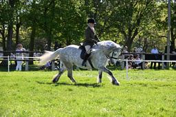 S19_8533 2026