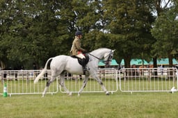 RoR CHAMPIONSHIP