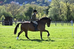 112-108 M&M Intermediate Championship