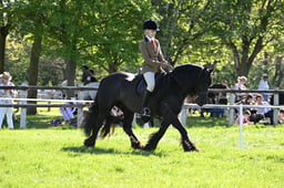 S19_8528 2026