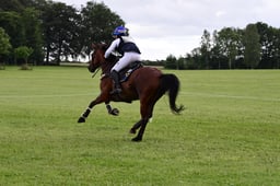 G39_3473 2026