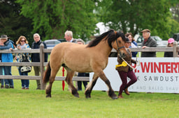 S29_0780 2026