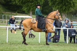 E30_5379 2026