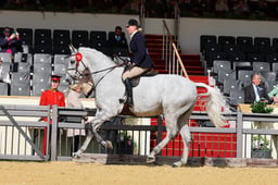 H28_5069 2026