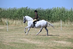 S60_0549 2026