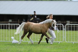 H41_1474 2026
