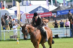 Ridden Hunters