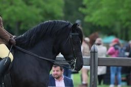 S30_3683 2026