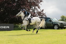 E39_3773 2026