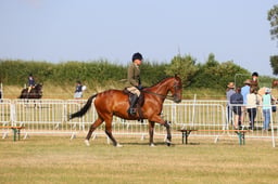 E60_5087 2026