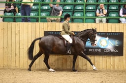 HOYS & YHL MASTERCLASS