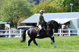 H19_0504 2026