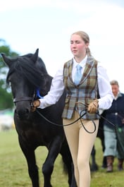 Livestock Parade