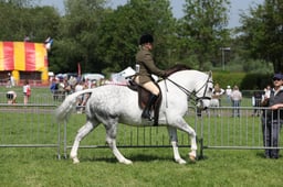 C34_1026 2026