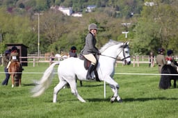 C19_0453 2026