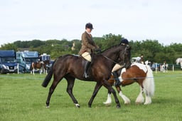 E36_0043 2026