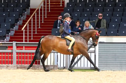 H31_0243 2026