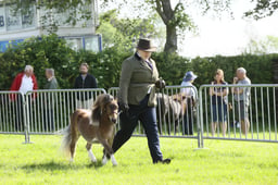 E34_0583 2026