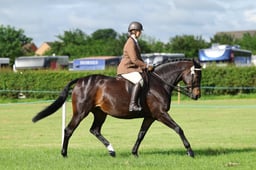 27 SEIB YHL Riding Club Horse