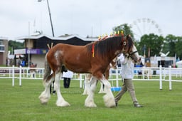 H44_0002 2026