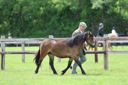 H41_3640 2026