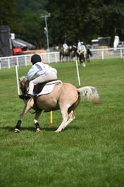 D42_1353 2026