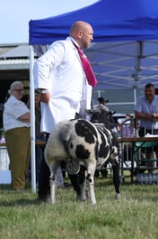 F66_1140 2026