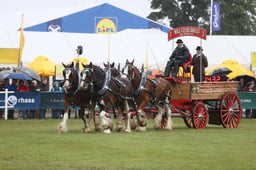 E45_4905 2026