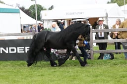 W29_1200 2026