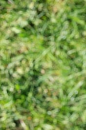 M19_0973 2026