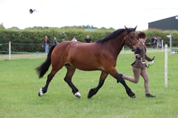 J36_5979 2026