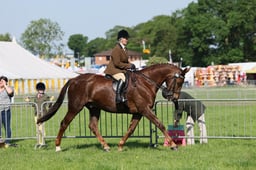 C33_0630 2026