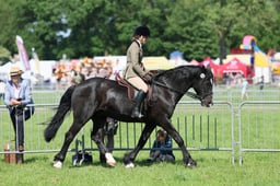 C33_0914 2026