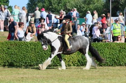 S61_0568 2026