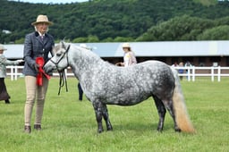 Z41_0583 2026