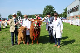 H33_5102 2026