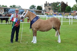 C45_1798 2026