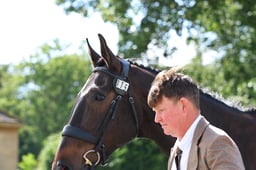 15 BENEDICT RADAU